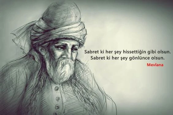 mevlana celaleddını rumının anlamli sozlerı ask hasret sevgı dın (11)